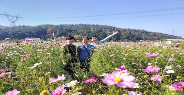 澧縣土地資源,澧縣公共基礎(chǔ)設(shè)施,澧縣工商業(yè)信息咨詢,澧縣澧州實業(yè)發(fā)展有限公司